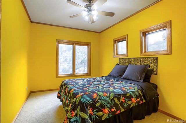 15479 Ouray Road, Pine, CO 80470