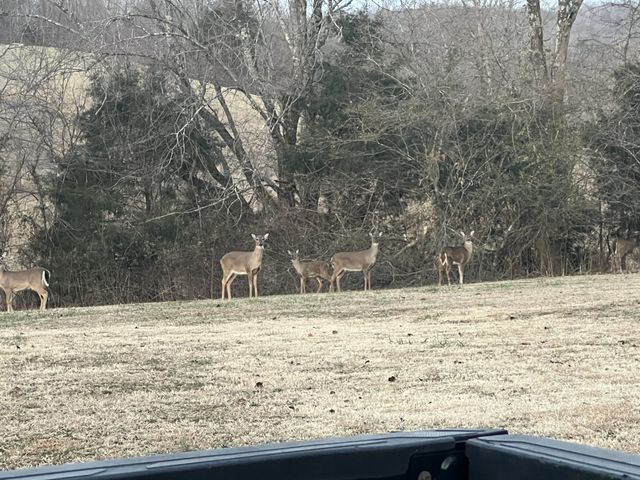 990 E Piney Rd, Dickson, TN 37055