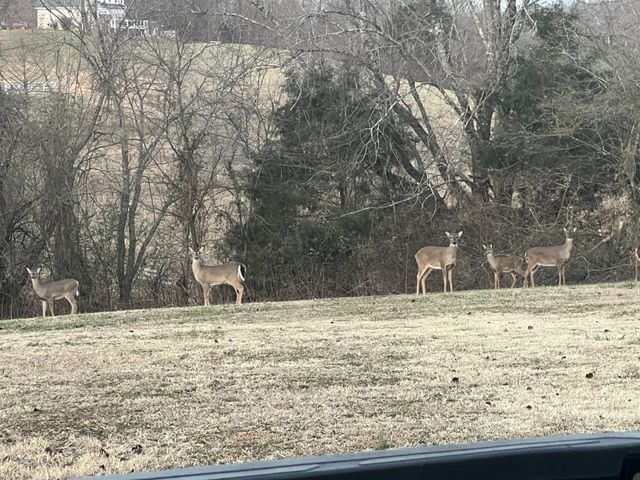 990 E Piney Rd, Dickson, TN 37055