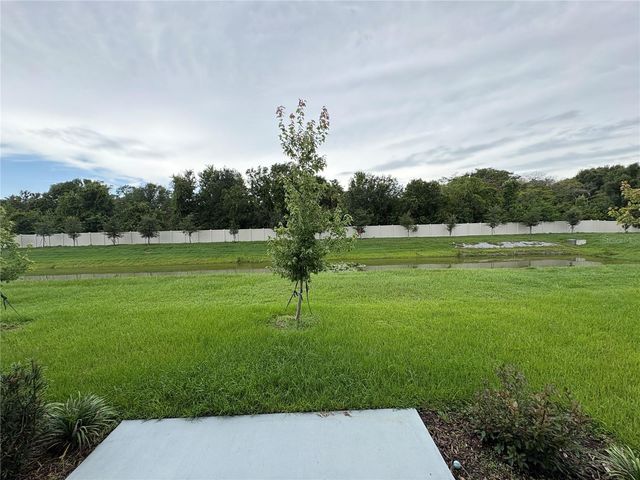 4460 RACHEL FALLS DRIVE, Tampa, FL 33610