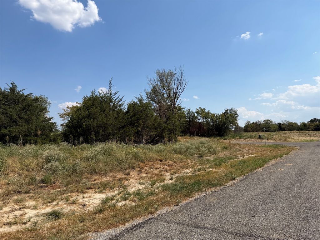 Lot 14 County Road 1110, Farmersville, TX 75442