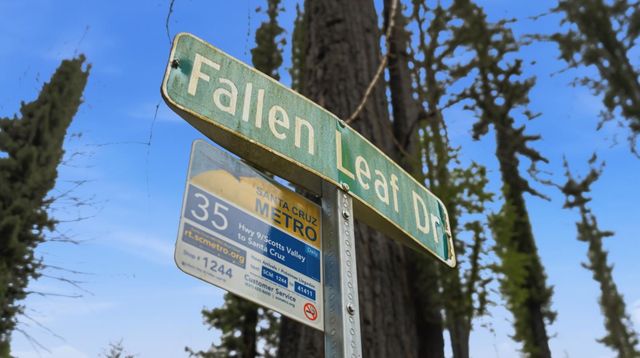 135 Fallen Leaf Drive, Boulder Creek, CA 95006