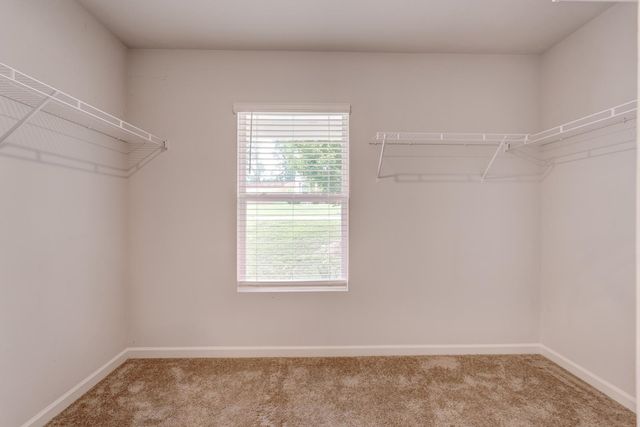 210 Rushing Waters Drive, Inman, SC 29349