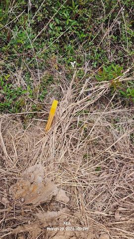 6603B Langham Drive, Houston, TX 77084