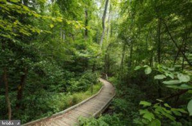 1530 SANDPIPER BAY LOOP, Dumfries, VA 22026
