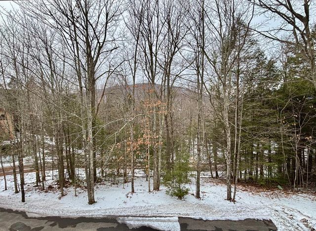 23 Townhouse Ln D 1, Windham, NY 12496