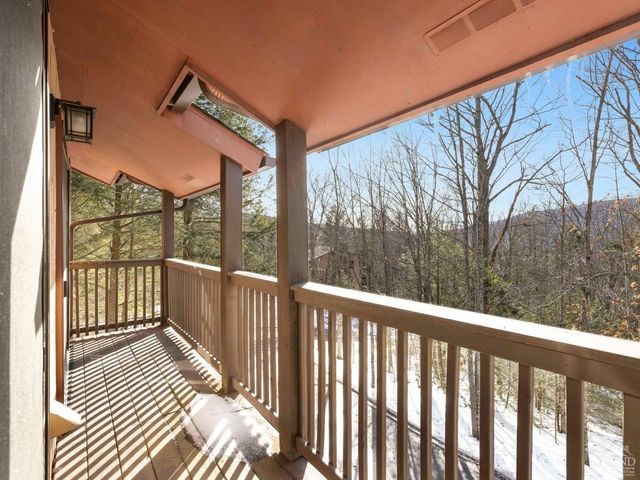 23 Townhouse Ln D 1, Windham, NY 12496