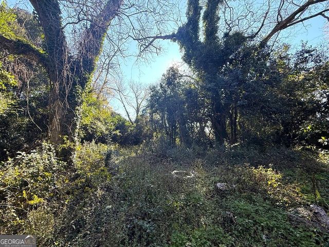 115 S Thomas St, Elberton, GA 30635