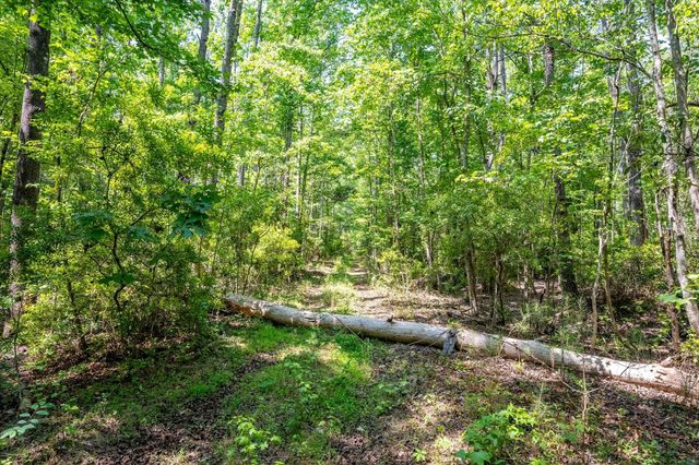 0 Hyde Park Road, Ravenel, SC 29470