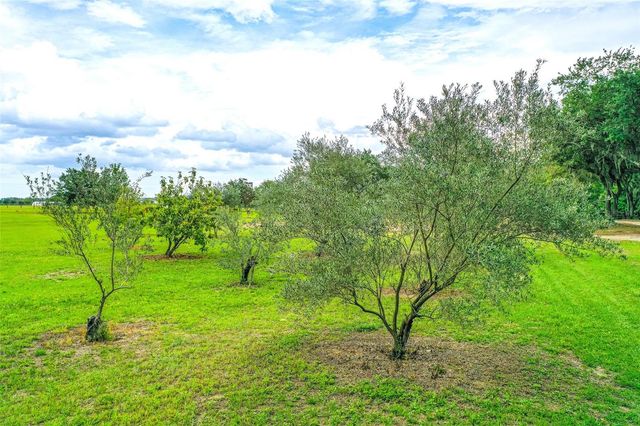 6850 HUNT ROAD, Groveland, FL 34736