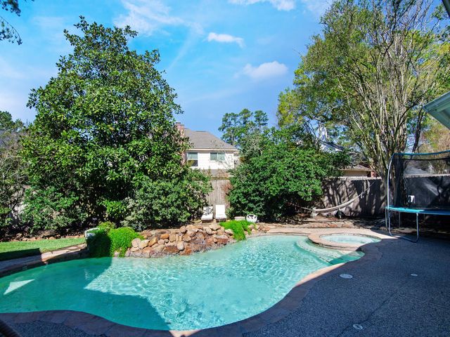 25 Cokeberry Street, The Woodlands, TX 77380