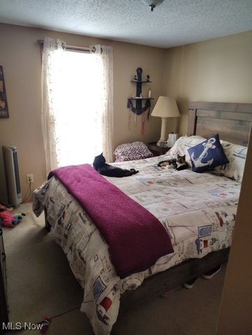 2447 Linwood, Ashtabula, OH 44004