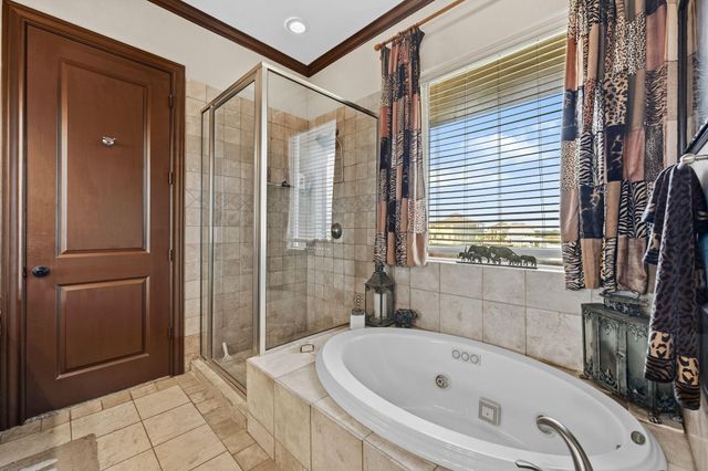 26 Half Moon, Hitchcock, TX 77563