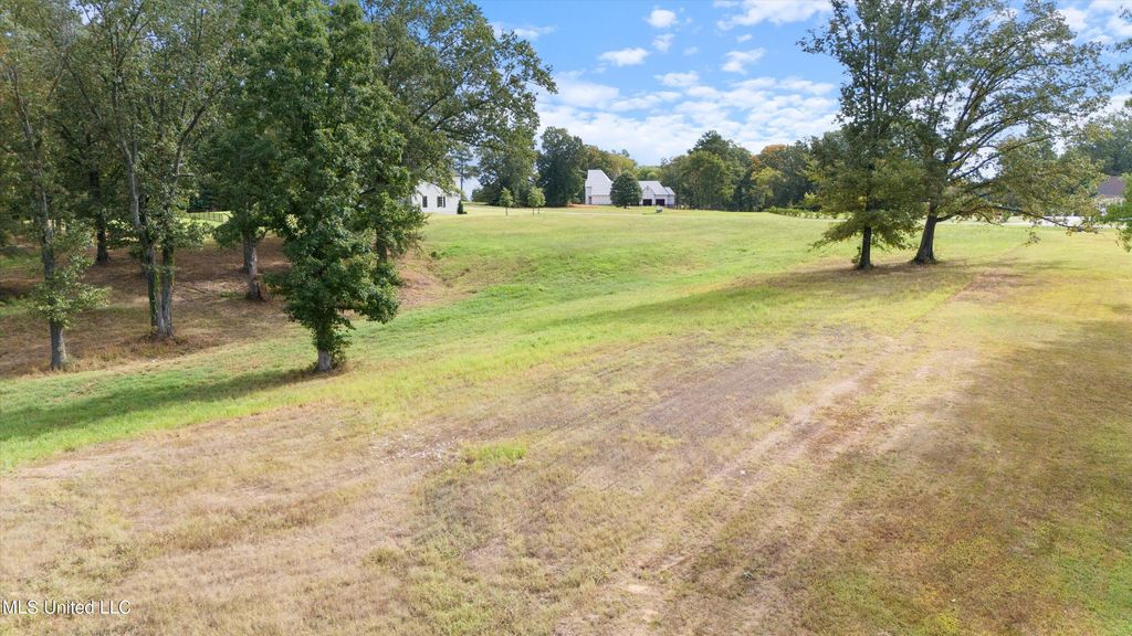 5823 Ginners Lane, Hernando, MS 38632 — photo 4