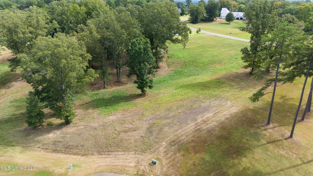 5823 Ginners Lane, Hernando, MS 38632 — photo 5