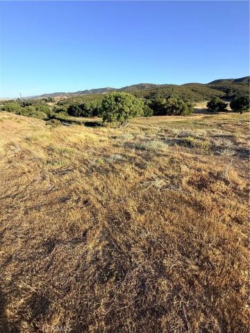 0 Kiptree, Lake Elizabeth, CA 93532
