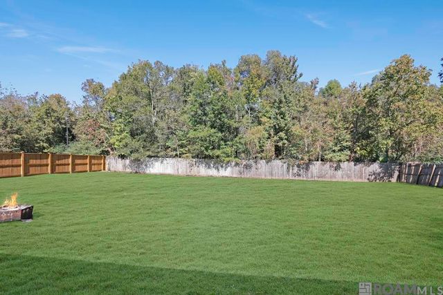 23839 Snowdon Ave, Denham Springs, LA 70726