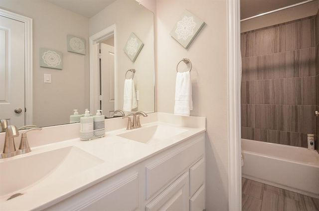 1314 Malea Daisy Lane, Richmond, TX 77406