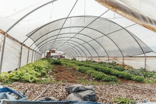 3526 Front Street, Palisade, CO 81526