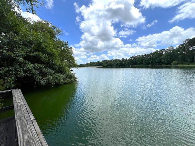 254 CR 4595, Winnsboro, TX 75494
