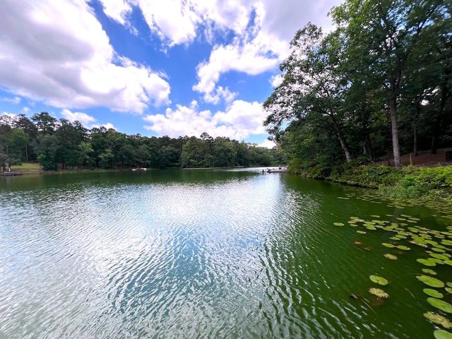 254 CR 4595, Winnsboro, TX 75494