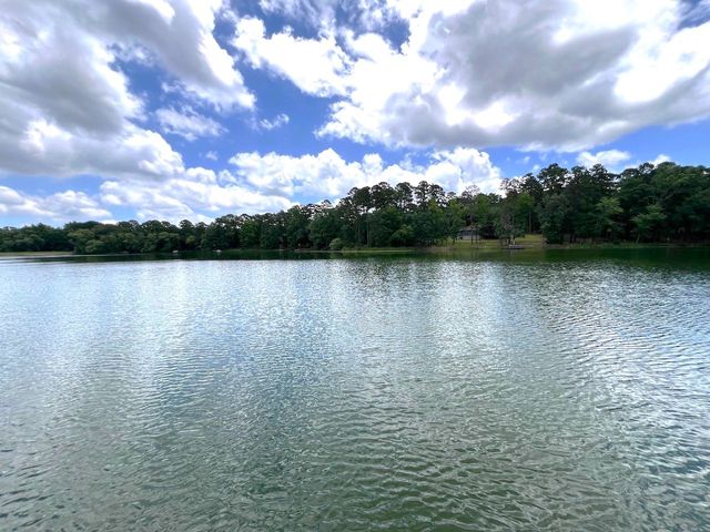254 CR 4595, Winnsboro, TX 75494