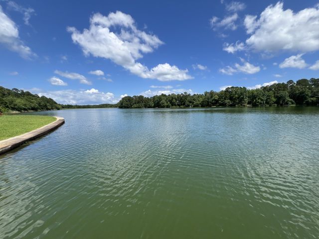 254 CR 4595, Winnsboro, TX 75494