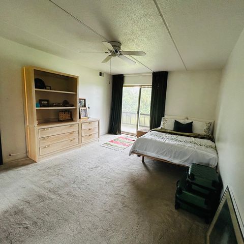 505 Redondo Drive 205, Downers Grove, IL 60516