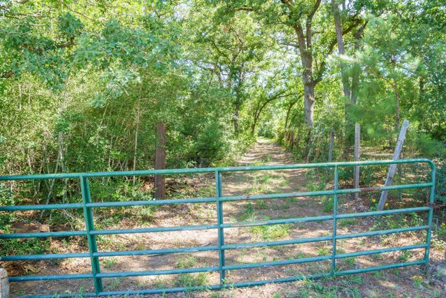 152 Palamino CT, Paige, TX 78659