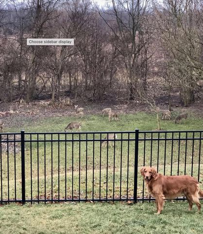492 Hibbs Road, Lockbourne, OH 43137