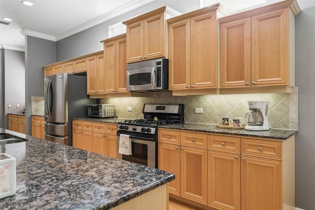 9419 GREENPOINTE DRIVE, Tampa, FL 33626