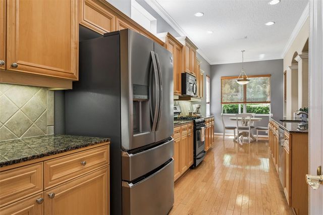 9419 GREENPOINTE DRIVE, Tampa, FL 33626