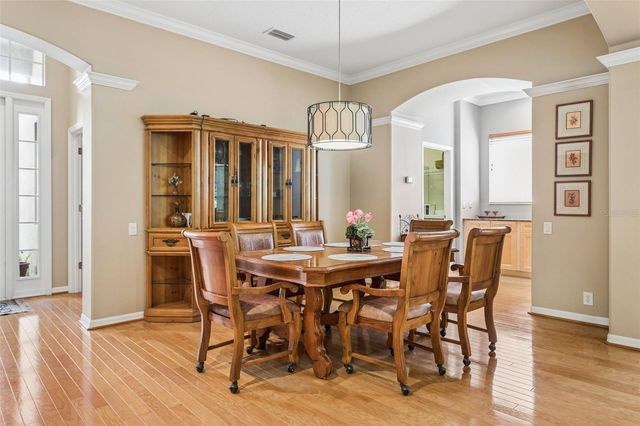 9419 GREENPOINTE DRIVE, Tampa, FL 33626