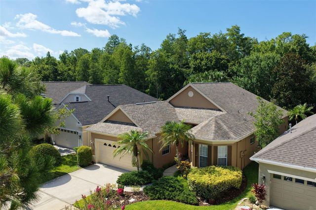 9419 GREENPOINTE DRIVE, Tampa, FL 33626