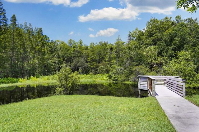 9419 GREENPOINTE DRIVE, Tampa, FL 33626