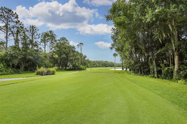 9419 GREENPOINTE DRIVE, Tampa, FL 33626