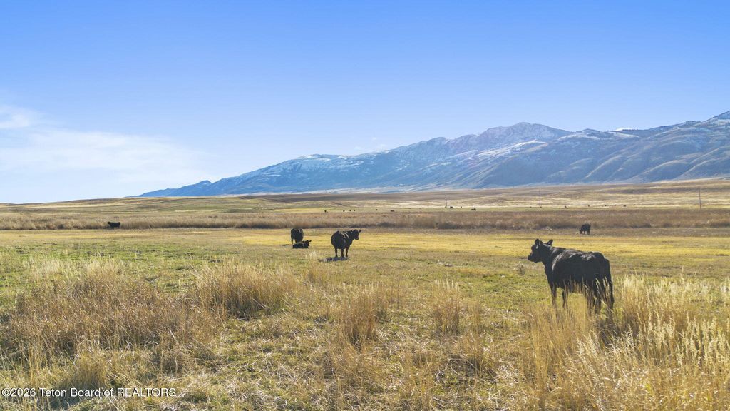 30236 S US HWY 91, Swanlake, ID 83281 photo 15