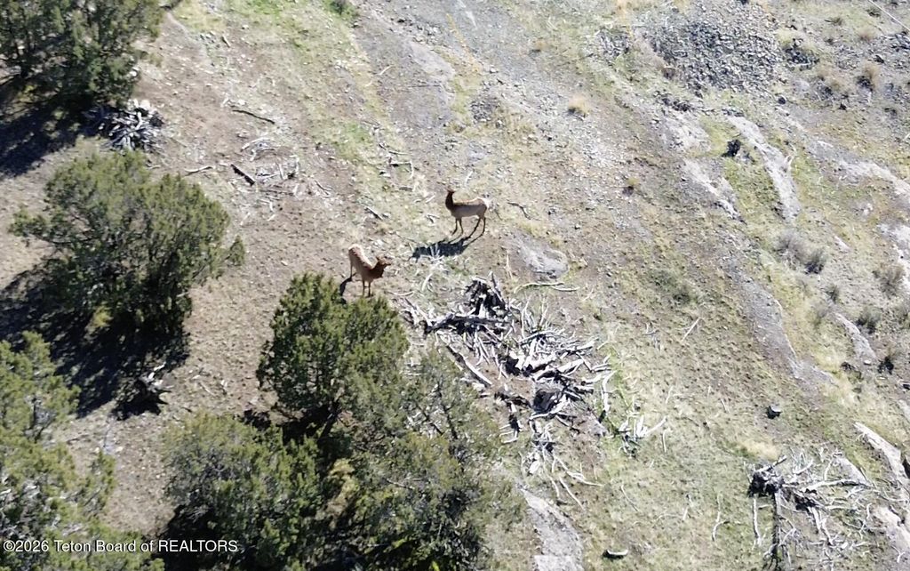 30236 S US HWY 91, Swanlake, ID 83281 photo 22