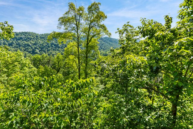1751 Carabiner Circle, Stanton, KY 40380