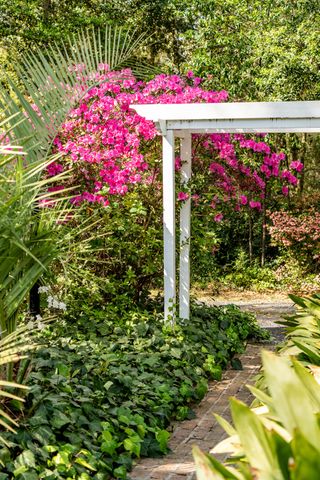 517 W Carolina Avenue, Summerville, SC 29483