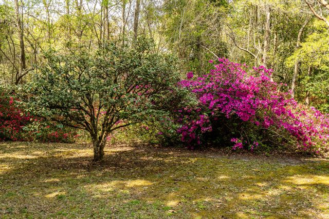 517 W Carolina Avenue, Summerville, SC 29483