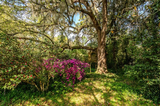 517 W Carolina Avenue, Summerville, SC 29483