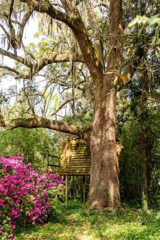 517 W Carolina Avenue, Summerville, SC 29483