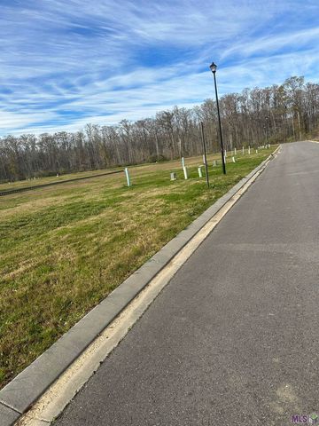 12868 St Lucia Dr, Maurepas, LA 70449