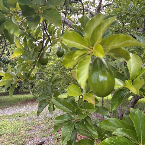 21060 SW 213th Ave, Road, Miami, FL 33187