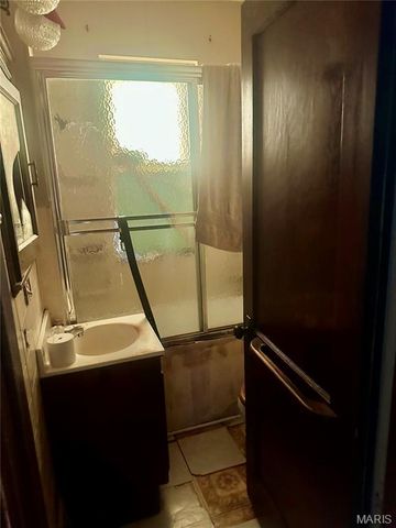 3761 Blow Street, St Louis, MO 63116