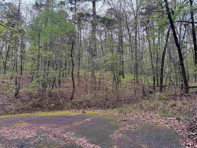 11 TAZON LANE, Hot Springs Village, AR 71909