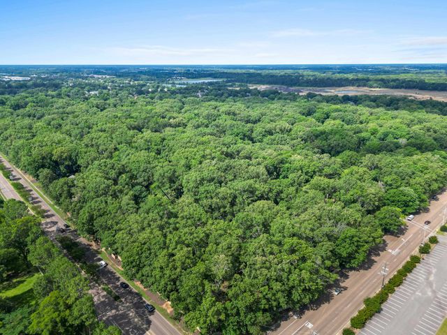 732 N TREE DR, Collierville, TN 38017