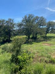 W25065 White Dove / Apache Tears, Horseshoe Bay, TX 78657