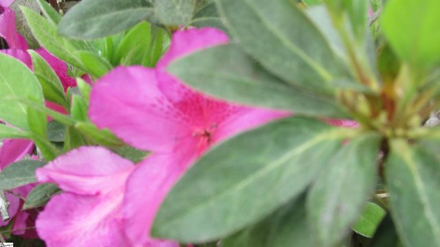 317 Hazel Drive, Clinton, SC 29325